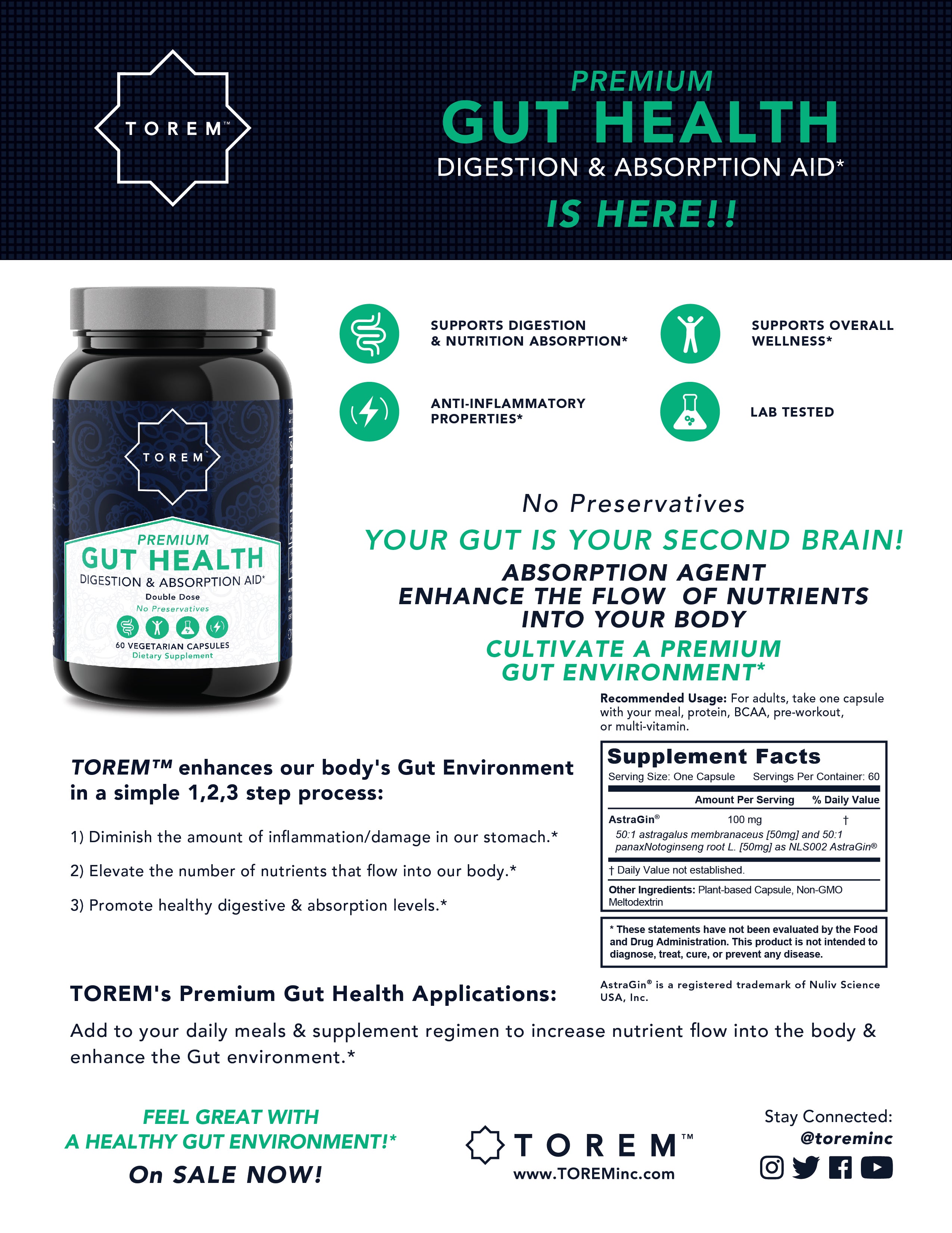 Torem GUT HEALTH: Digestion & Absorption Normalize – torem