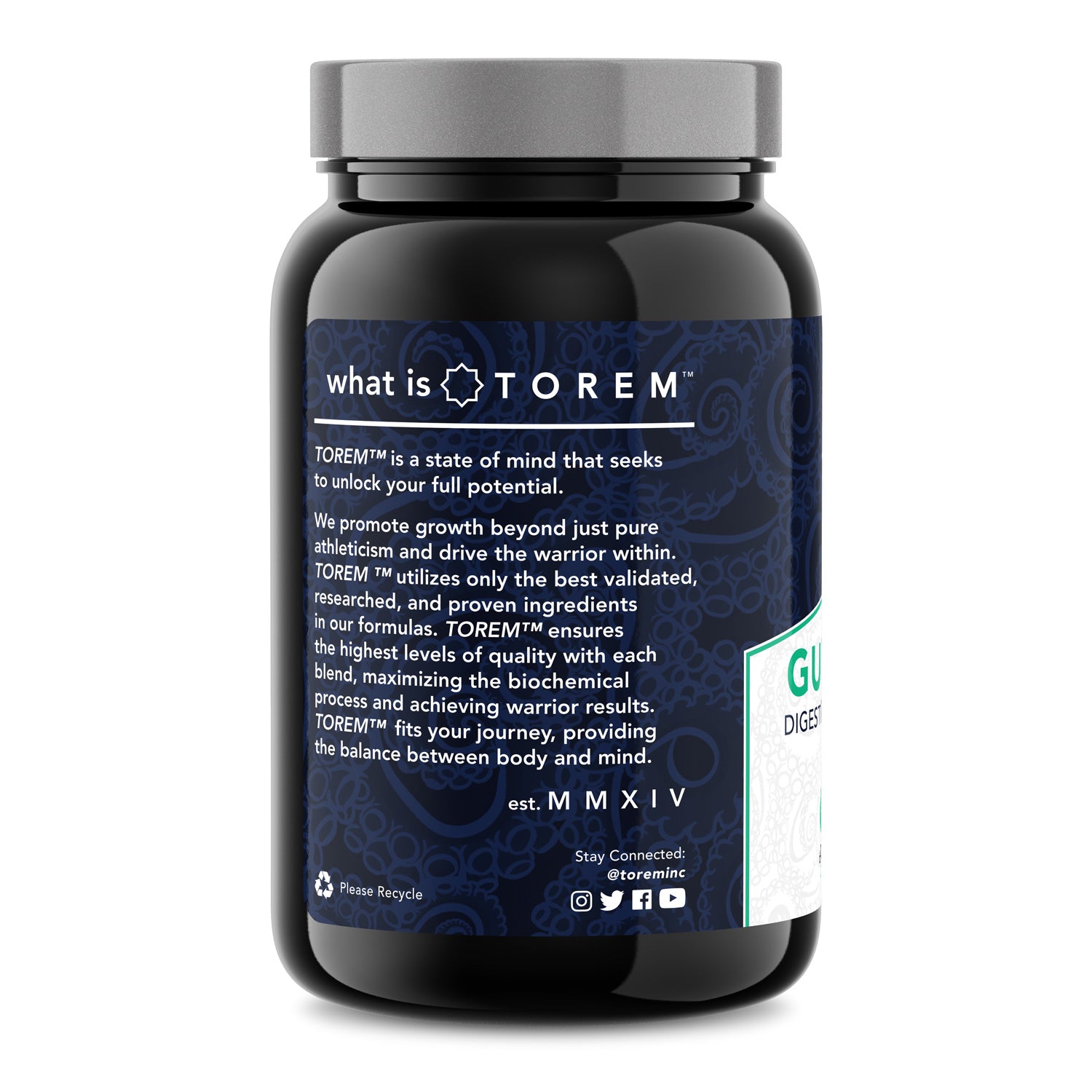 Torem GUT HEALTH: Digestion & Absorption Normalize – torem
